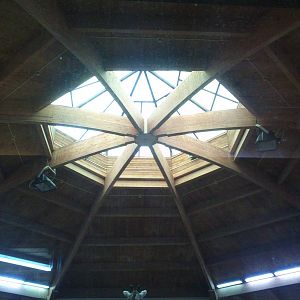Roof in the 'African ungulates house'