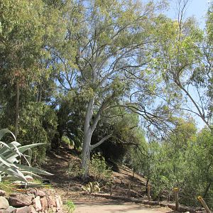 hillside mendoza zoo