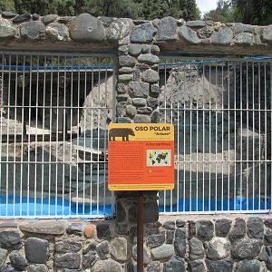 polar bear exhibit mendoza zoo