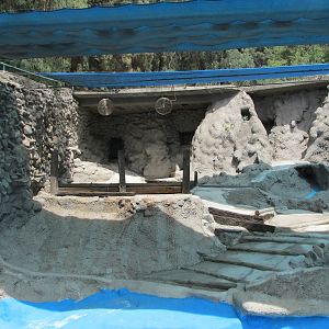 polar bear exhibit mendoza zoo