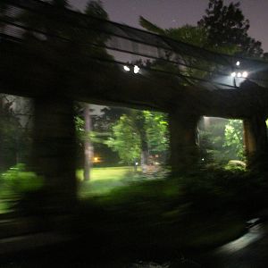 Tram Safari - Malayan Tiger exhibit