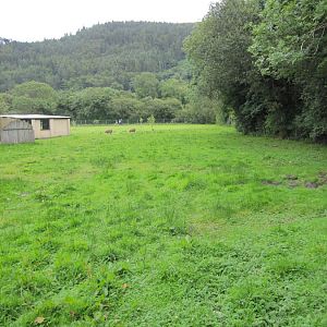 South American Pampas