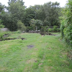 Not sure if those ducks are the residents of this enclosure