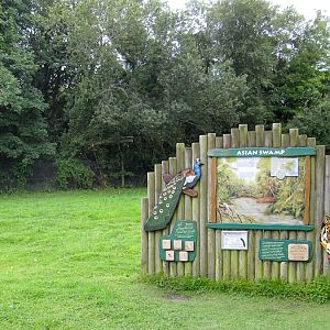 Capaybara thinking of emigrating...