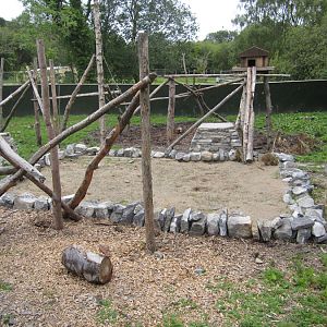 Coati enclosure part II