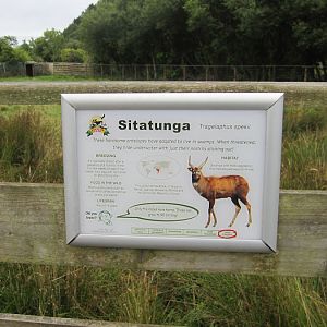 Signage - Sitatunga