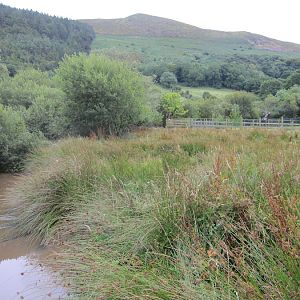 Think this may also be the Sitatunga enclosure