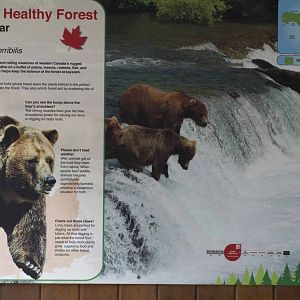 Grizzly Bear Signage 01