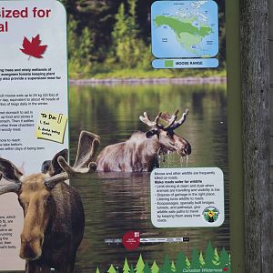 Moose Signage