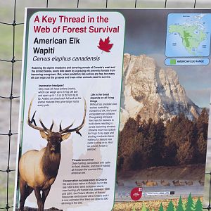 American Elk Signage