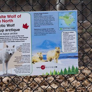 Arctic Wolf Signage