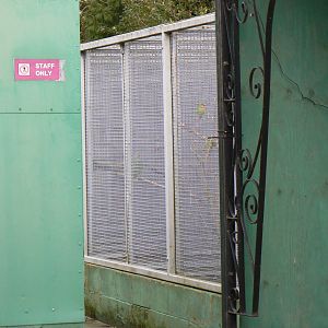 View of Off-show Aviaries - 6 December 2015