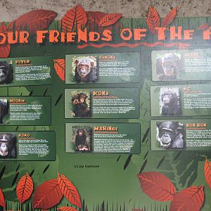 List of Chimpanzees at the Zoo