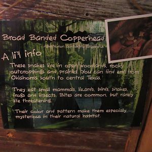 Signage Example in Ghosts of the Bayou