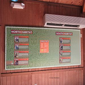 List of Dallas Zoo Gorillas