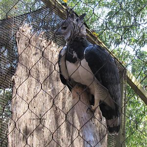 Kia is a Teenager Now