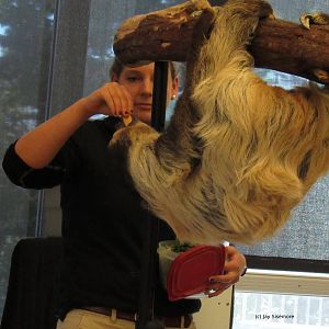 Lola the Sloth and Her Keeper