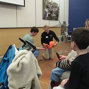Some Guy Feeding Aruba, the Caribbean Flamingo