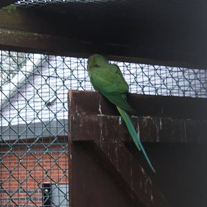 Walton Hall Children`s Zoo