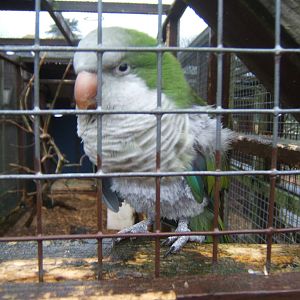 Walton Hall Children`s Zoo