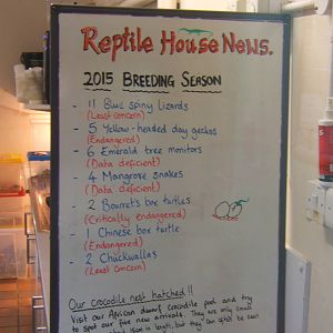 Reptile breeding results for 2015