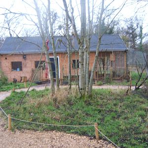 View of Belted Ruffed Lemur enclosure