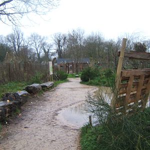 View of Lemur walk throughs