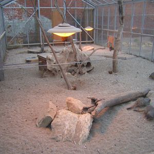 View of inside Meerkat House