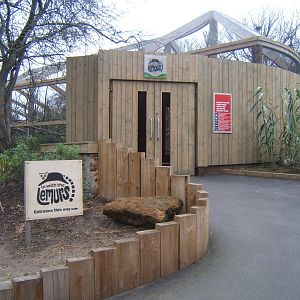 View of walk through Lemur enclosure