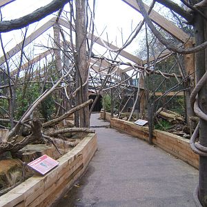 View of walk through Lemur enclosure