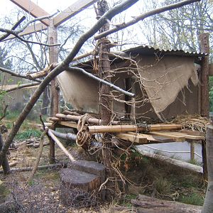 View of walk through Lemur enclosure