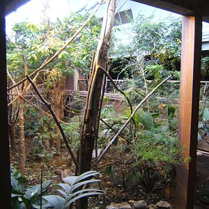 View inside Rainforest Life