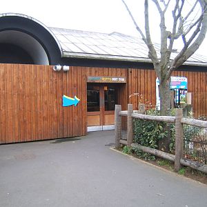 Pygmy Hippo House outside