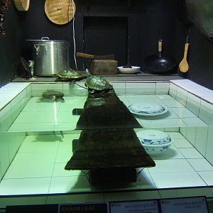 View of Annam Leaf turtle exhibit