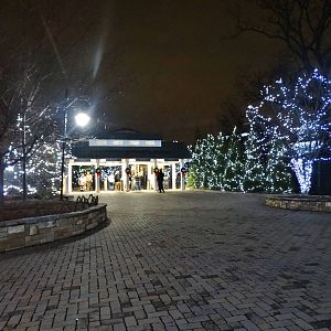 Festival of Lights 2015 - Entrance