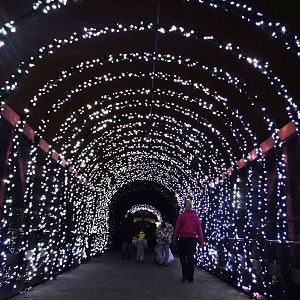Festival of Lights 2015 - Entrance Bridge
