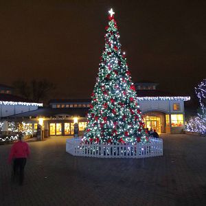 Festival of Lights 2015 - Historic Vine Street Village