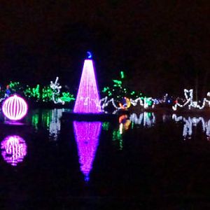 Festival of Lights 2015 - Swan Lake Commemorating John Williams