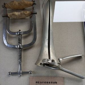 veterinary instruments