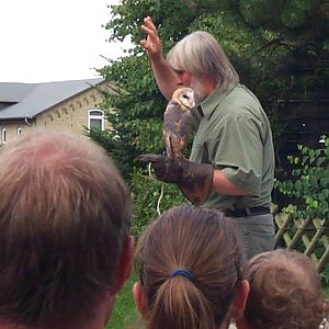 Owner with Barn owl