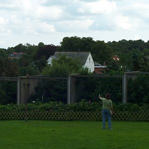 Show in front of the aviaries