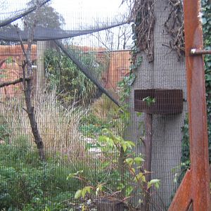 View of work for new Asian Lion enclosure