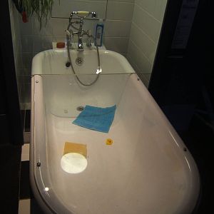 View of Giant House Spider exhibit