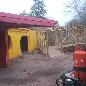 View of work for new Asian Lion enclosure