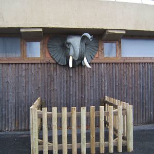 Outside old Elephant House