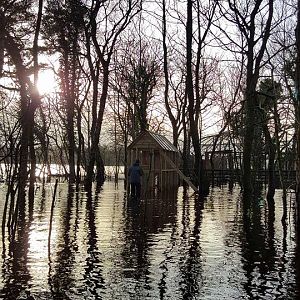 Floods and resulting damage, 11/12/15
