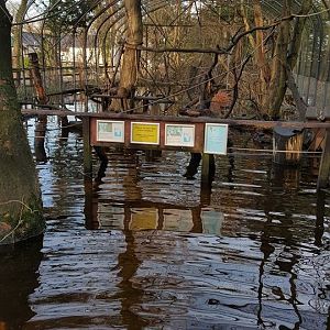 Floods and resulting damage, 11/12/15