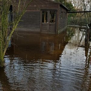Floods and resulting damage, 11/12/15