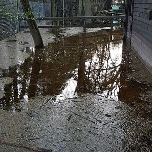 Floods and resulting damage, 11/12/15