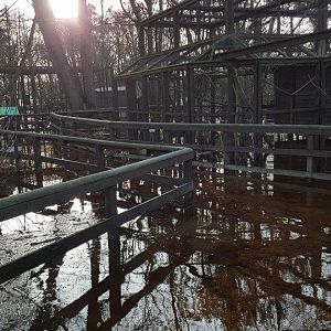 Floods and resulting damage, 11/12/15